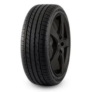 Davanti DX 640 225/40 R18 92W
