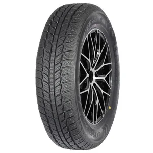 Evergreen EW 62 195/60 R15 88T