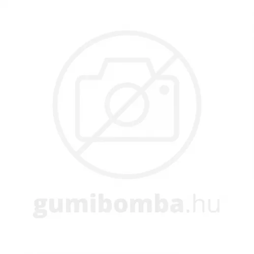 Rotalla F109 205/55 R16 91H