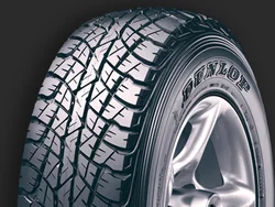 Dunlop Grandtrek AT2 245/70 R17 110S