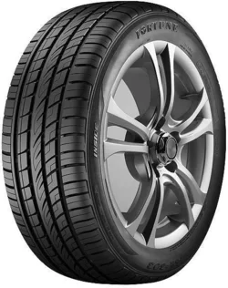Fortune FSR303 Bora 255/50 R19 107V