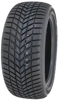 Infinity Ecozen Plus 205/55 R17 95V