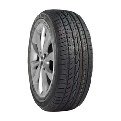 Royal Black Royal Winter 195/65 R15 91T