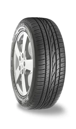 Sumitomo BC100 XL MFS 205/55 R17 95V